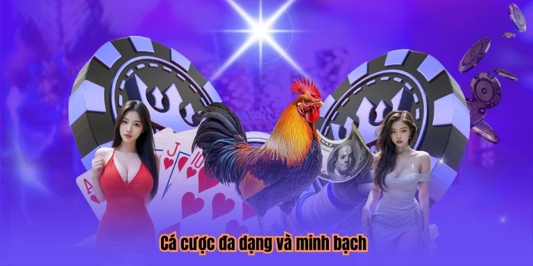 Cá cược đa dạng và minh bạch