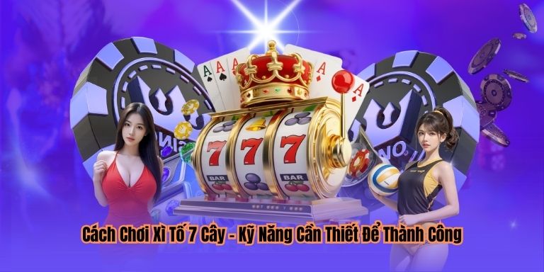 Cách Chơi Xì Tố 7 Cây – Kỹ Năng Cần Thiết Để Thành Công