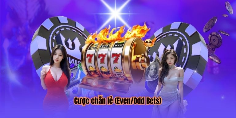 Cược chẵn lẻ (Even/Odd Bets)