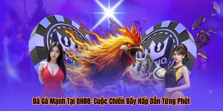 Đá Gà Mạnh Tại QH88: Cuộc Chiến Đầy Hấp Dẫn Từng Phút