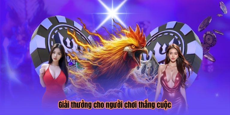 Giải thưởng cho người chơi thắng cuộc