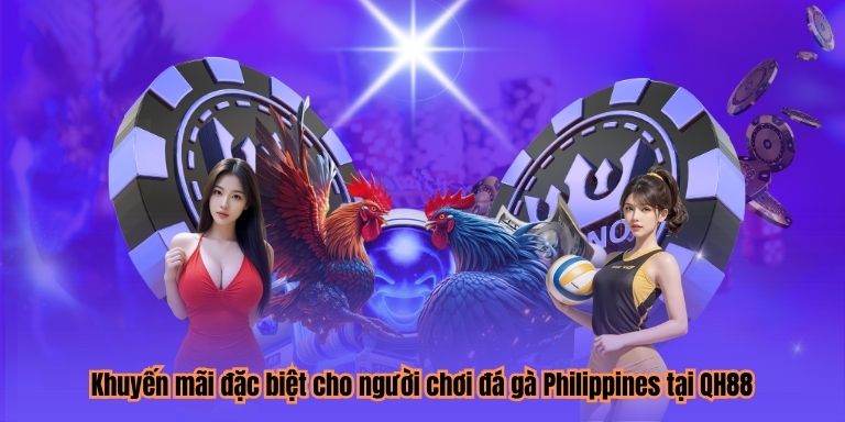 Khuyến mãi đặc biệt cho người chơi đá gà Philippines tại QH88
