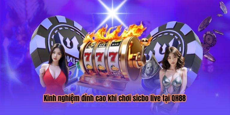 Kinh nghiệm đỉnh cao khi chơi sicbo live tại QH88