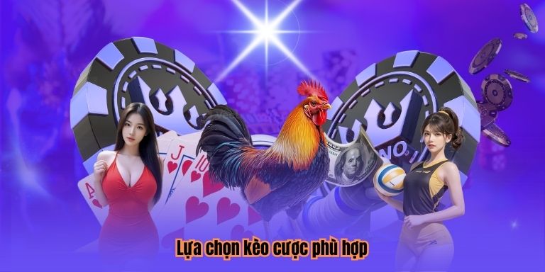 Lựa chọn kèo cược phù hợp