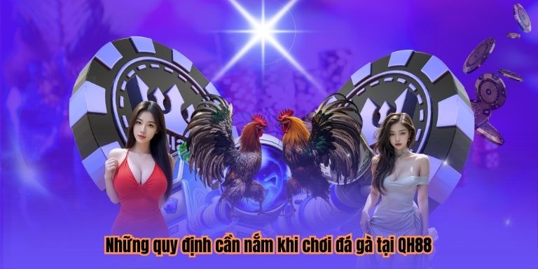 Những quy định cần nắm khi chơi đá gà tại QH88