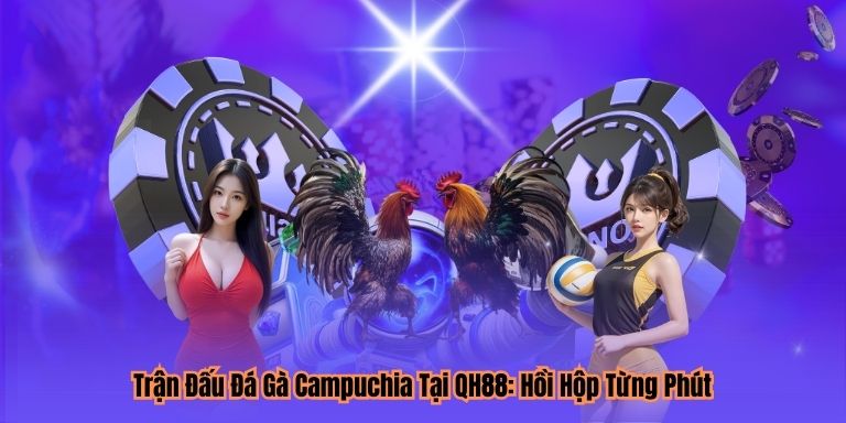 Trận Đấu Đá Gà Campuchia Tại QH88: Hồi Hộp Từng Phút
